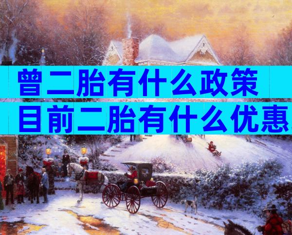 曾二胎有什么政策 目前二胎有什么优惠政策